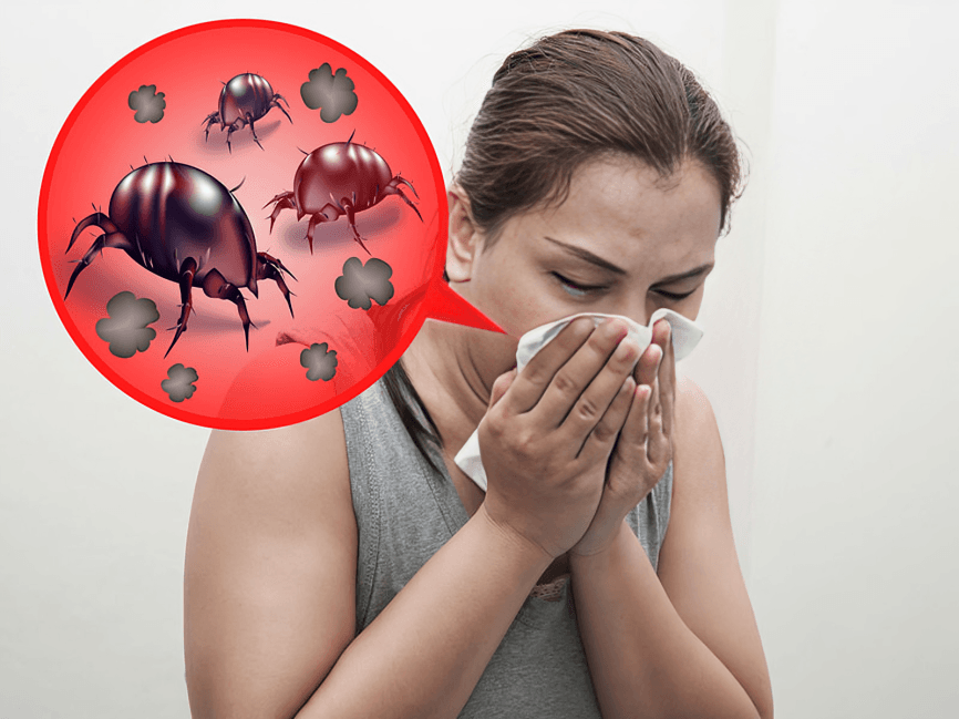 Woman sneezing, with a dust mite allergy graphic.