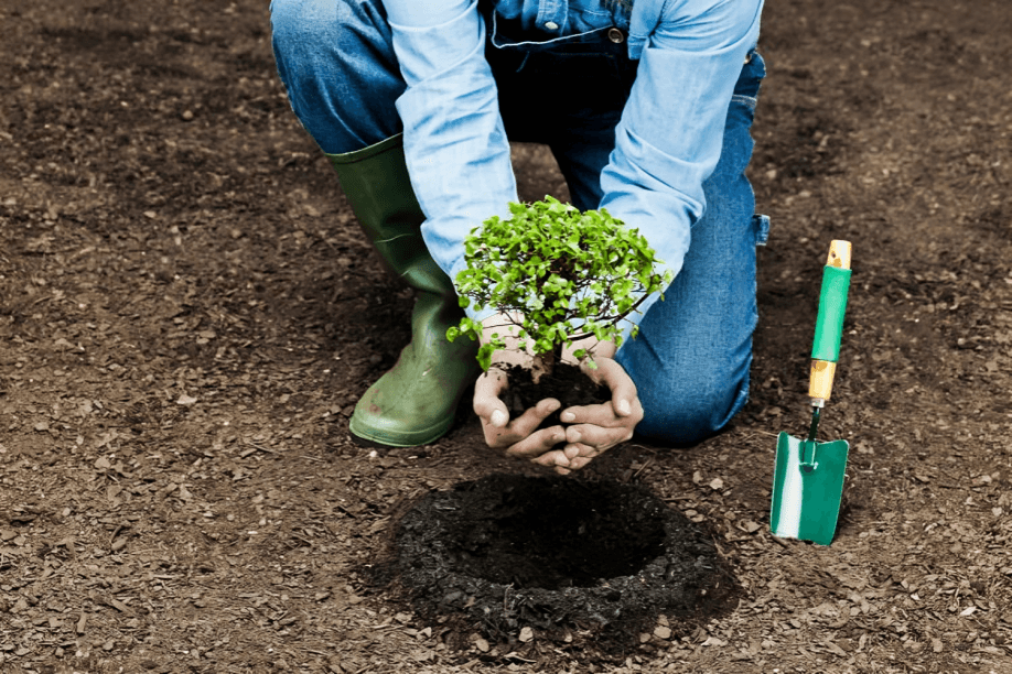 Person in boots holding seedling, ready to plant.