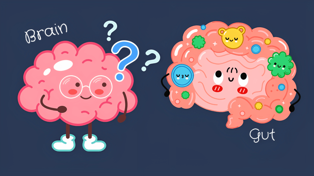 Cute cartoon brains representing the brain-gut connection.