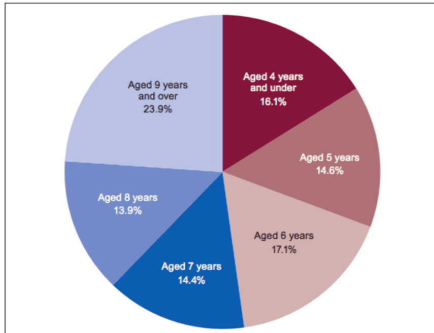 Pie chart showing age distribution in a sample population.