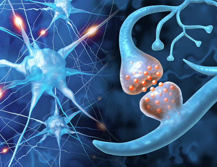Close-up of neural network and synapse.