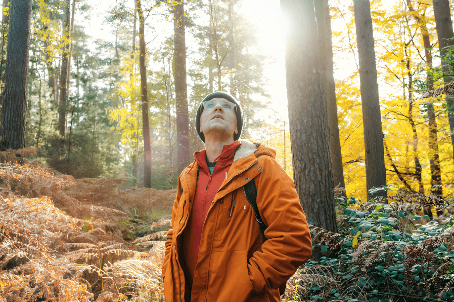 Man looking up in a sunlit autumnal forest.