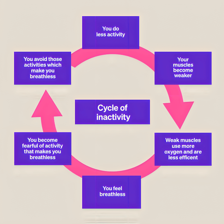 Diagram illustrating the negative cycle of inactivity.
