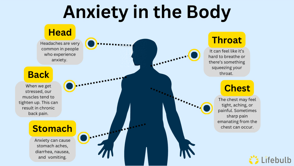 Anxiety in the body: head, back, stomach, throat, and chest.
