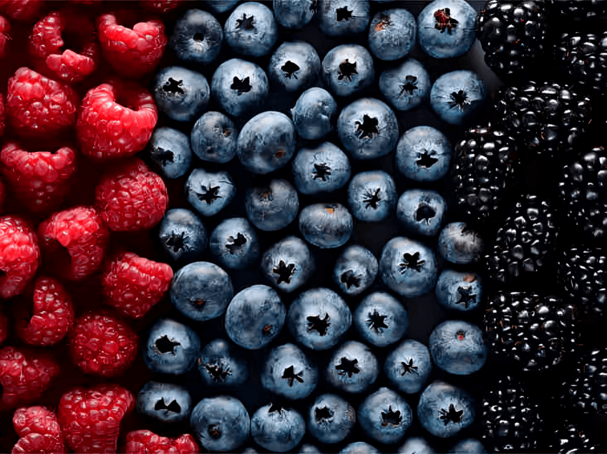 Three vertical rows of fresh raspberries, blueberries, and blackberries.