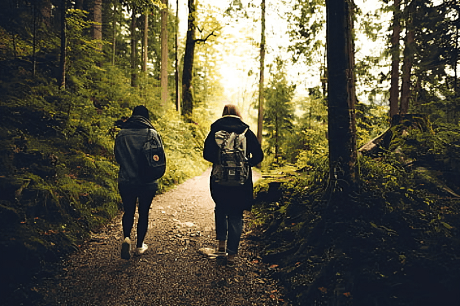 Two people hike on a path through a lush forest.