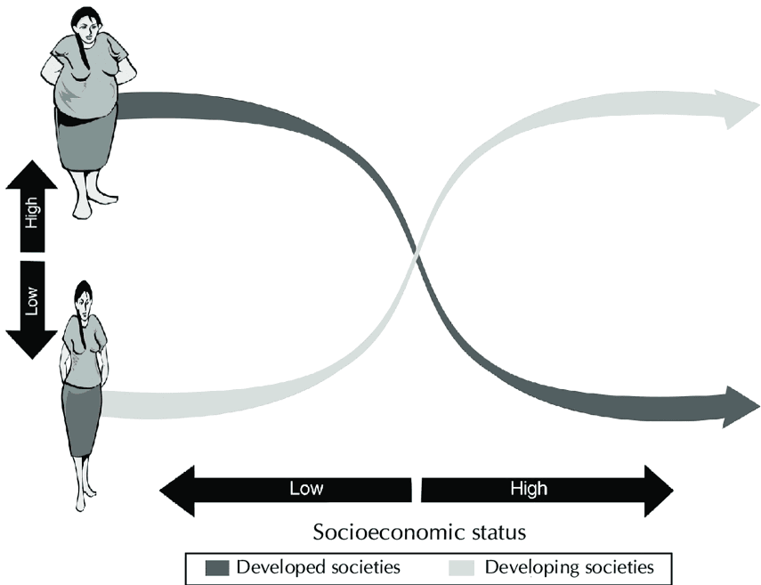Diagram showing obesity and socioeconomic status in developed and developing societies.