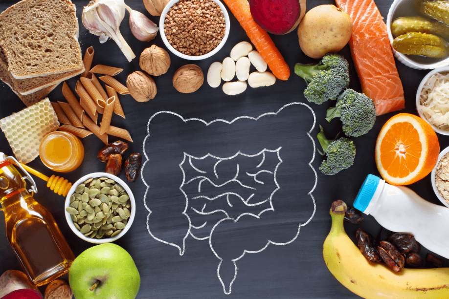 High-angle view of a variety of fermented foods.