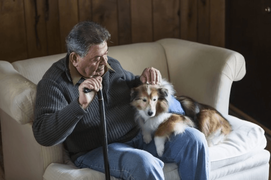 An elderly man sitting on a couch, petting a dog.