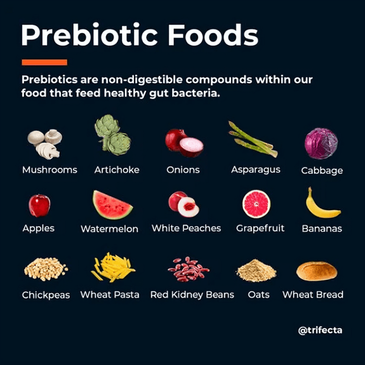 Prebiotic foods infographic with examples like mushrooms, apples, and oats.