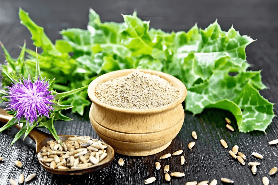 Milk thistle seeds, powder, and plant on dark wood.