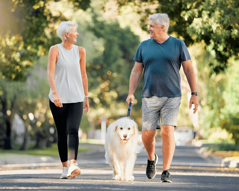 Happy elderly couple walking dog on street.