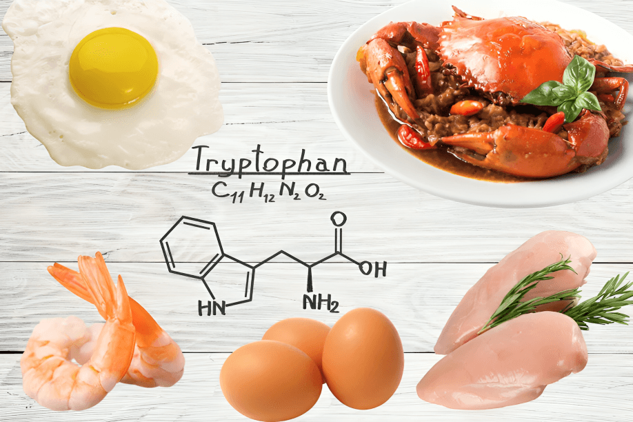 Food rich-in Tryptophan, eggs, shrimp and meat.