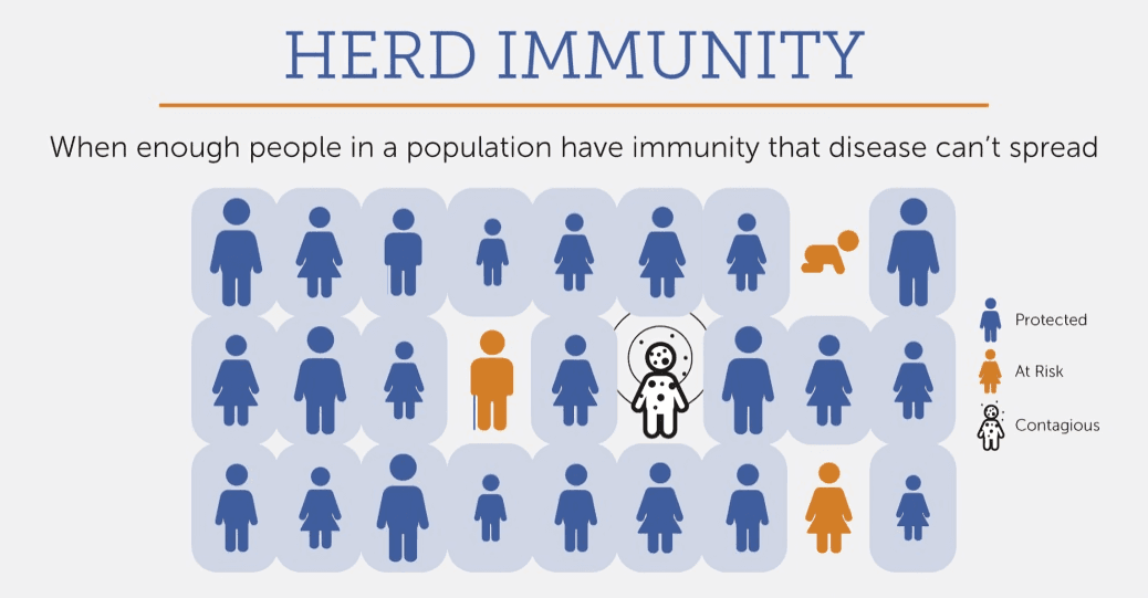 Herd immunity infographic with stick figures showing disease spread prevention.