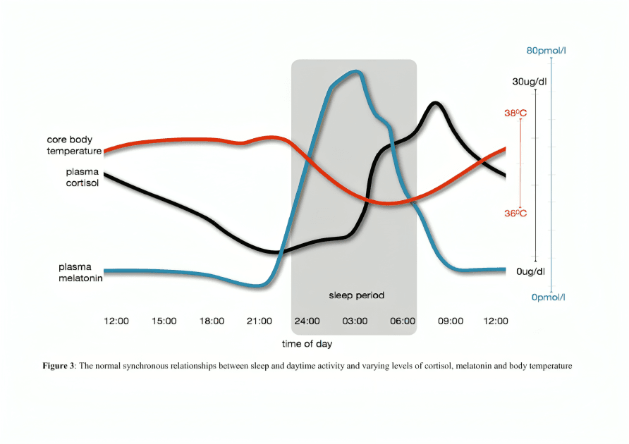 Graph showing circadian rhythms of melatonin, cortisol, and temperature.