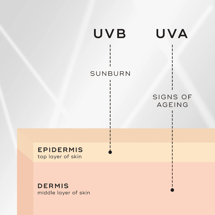 Diagram of skin layers with UVA and UVB ray effects labeled.