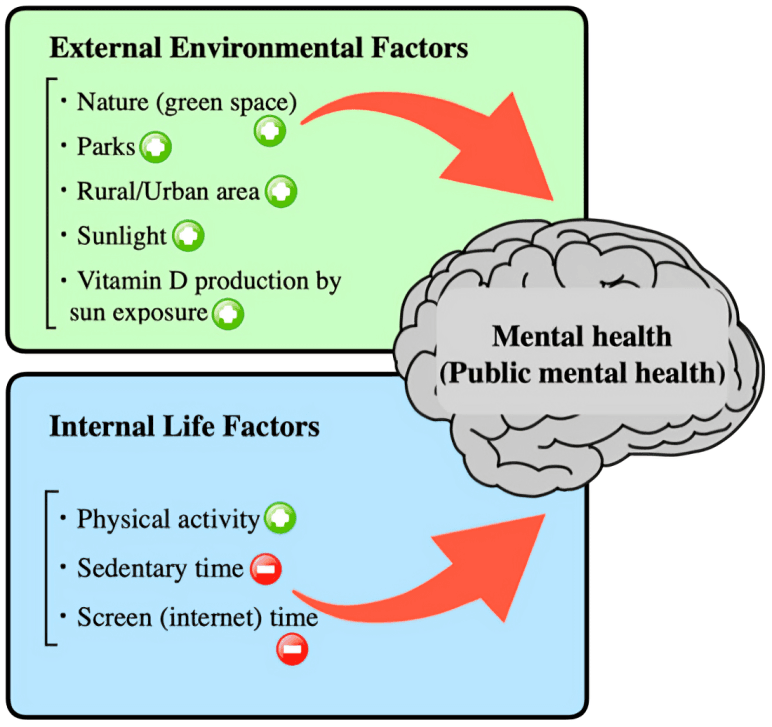 Diagram showing external and internal factors affecting mental health.