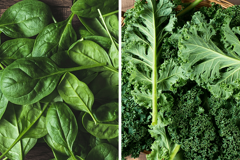 Spinach and kale leaves side by side, close-up view.