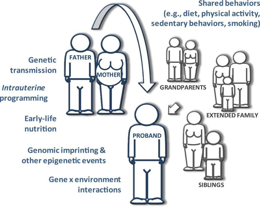 Diagram of family health influences, including genetics and shared behaviors.