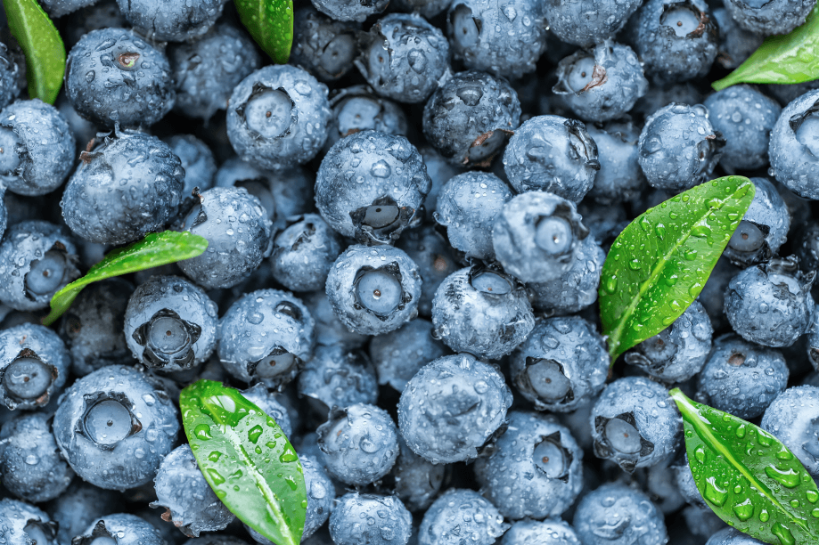 Fresh blueberries with water droplets and leaves.