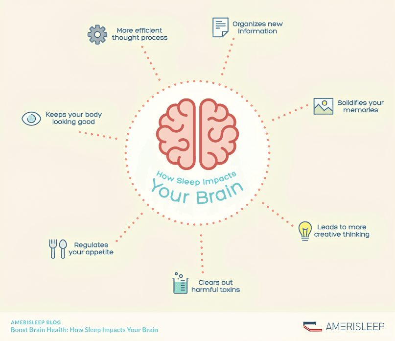 Brain infographic showing sleep impacts on the brain.