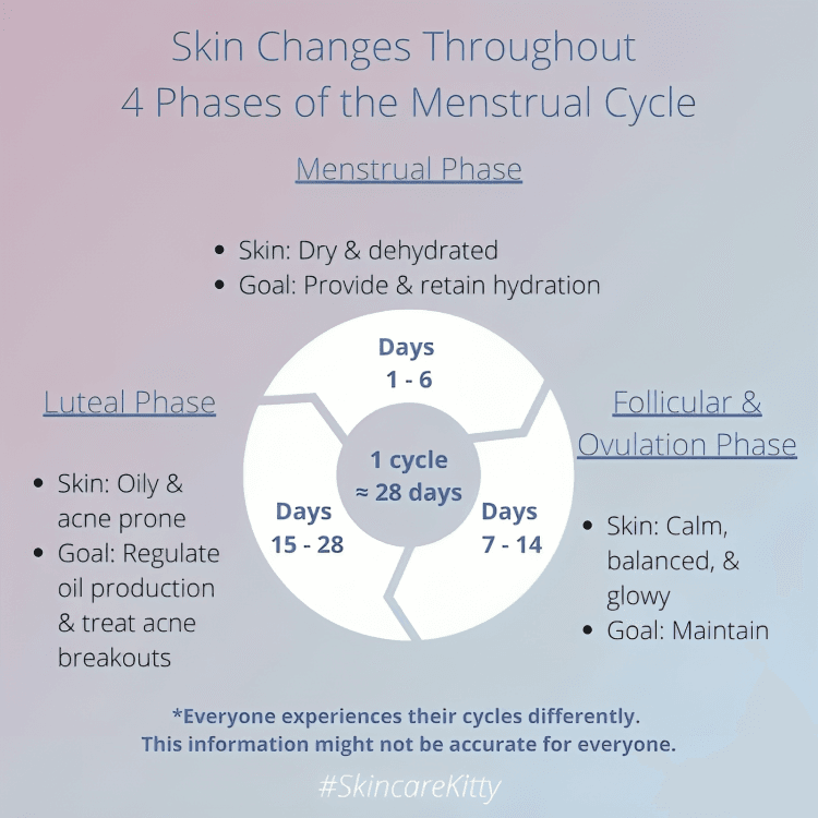 Infographic displaying skin changes during menstrual cycle phases.